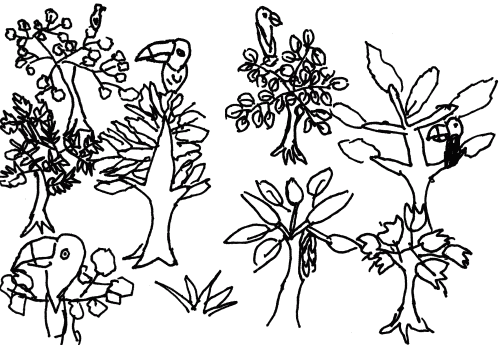 Toucans in trees